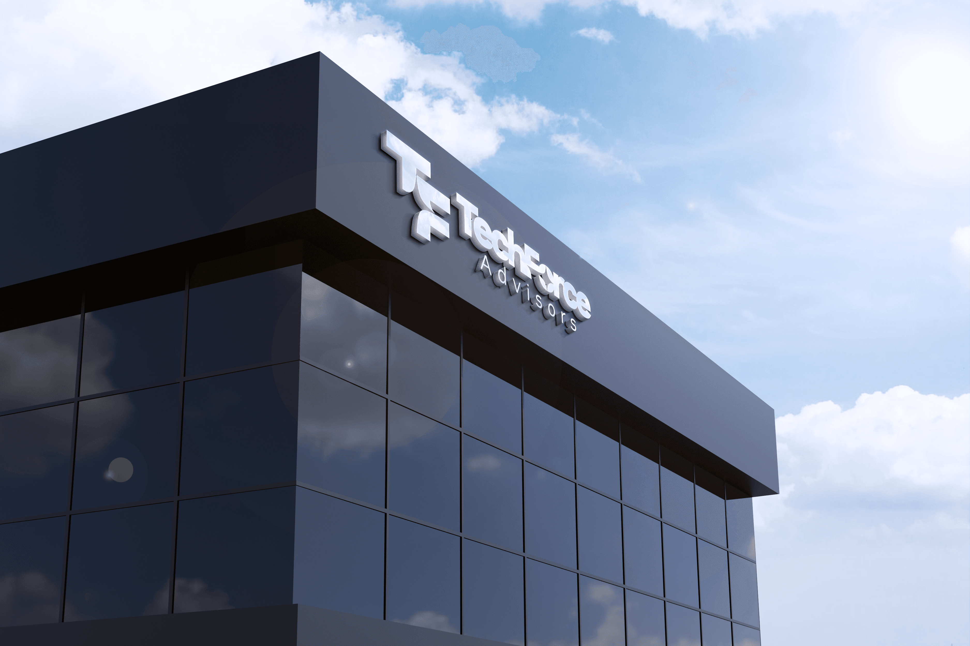TechForce Advisors